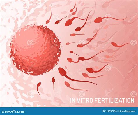 Concepto De La Fertilización In Vitro Ilustración Del Vector Ilustración De Contexto Germen