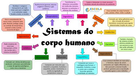 MAPA MENTAL Anatomia Humana Geral