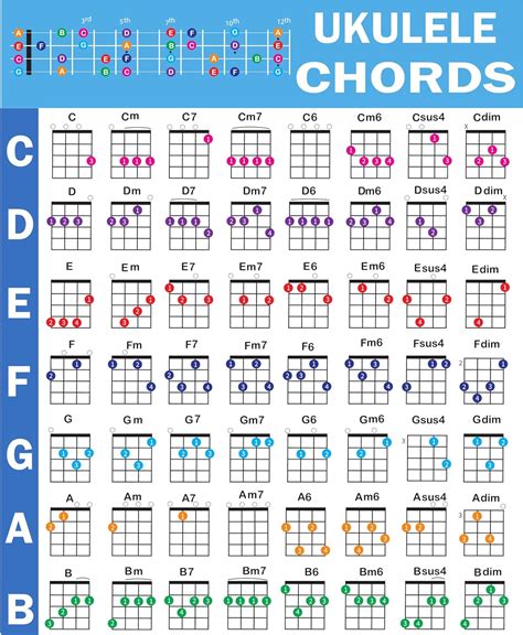 Amazon Ukulele Chords Poster An Educational Reference Guide For