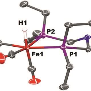 Solid State Structure Of Fe Petnmepet Co Fe Thermal Ellipsoids