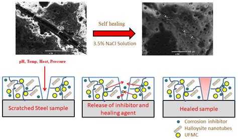 Polymers Free Full Text Self Healing Performance Of Multifunctional Polymeric Smart Coatings