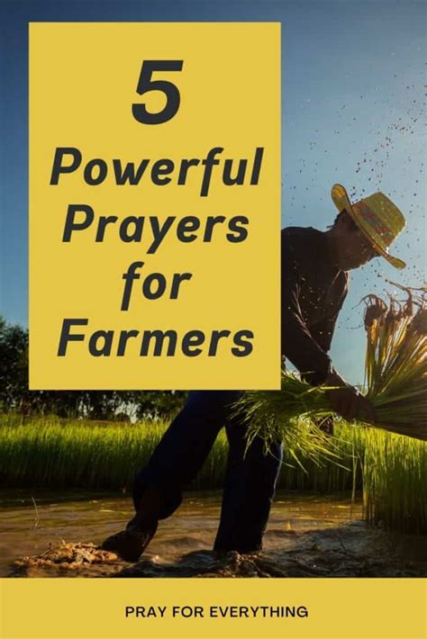 Powerful Prayers For Farmers