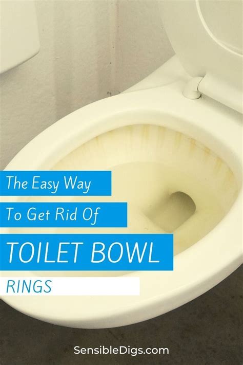 How To Get Rid Of The Toilet Bowl Ring 7 Easy Methods Artofit