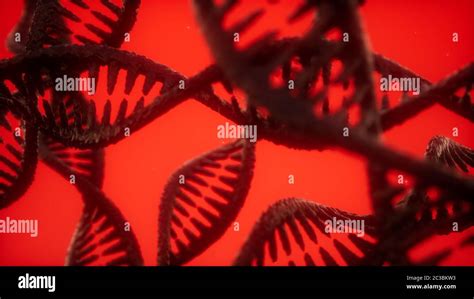 structure of the DNA double helix animation Stock Photo - Alamy