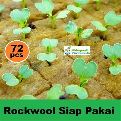 Jual Rockwool Media Tanam Hidroponik Siap Pakai Kotak Rockwool Di