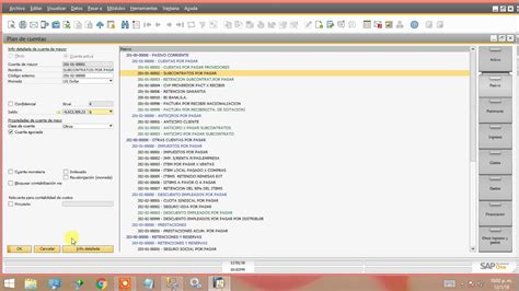 Sap Business One Factura Anticipo Factura De Proveedor Pago Del