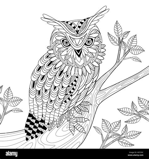 Wise Owl Coloring Page In Exquisite Style Stock Vector Image And Art Alamy