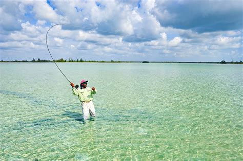 Fly Fishing In The Bahamas All You Need To Know Sandals