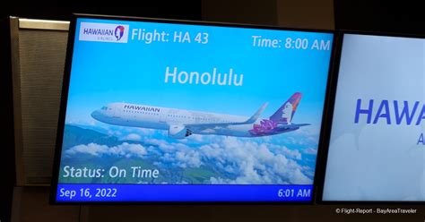 Review Of Hawaiian Airlines Flight From San Jose To Honolulu In Economy