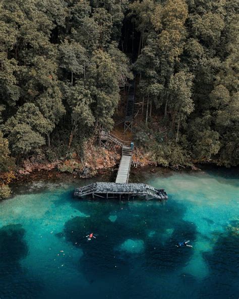 Potret Danau Kakaban Wisata Eksotis Di Pulau Derawan