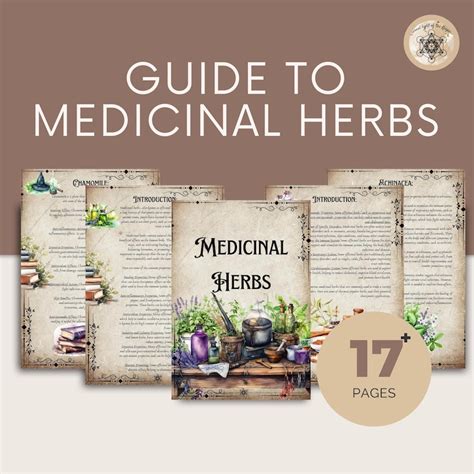 Printable Herbal Medicine Guide A4 Pdf On Medicinal Herbs Etsy