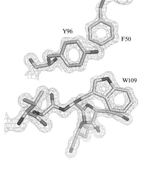 The 2fo Fc Electron Density Map Countered At 1σ For A Fragment Of The