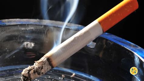 Débarrassez vous de lOdeur de Cigarettes Dans la Maison Avec un Simple