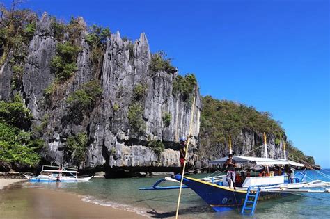 Tour Noturno Dos Vaga Lumes De Puerto Princesa Em Palawan Filipinas