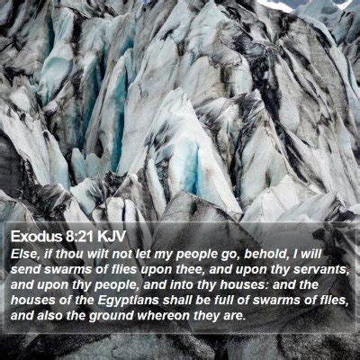 Exodus 8 Scripture Images - Exodus Chapter 8 KJV Bible Verse Pictures