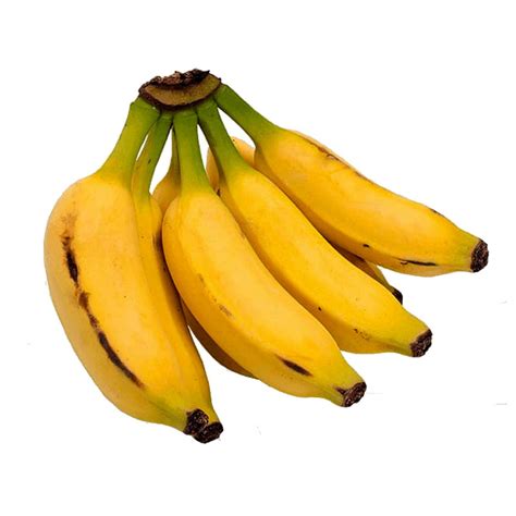 Musa acuminata Seeds, edible dessert banana - Price €2.55