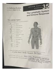 Lymphatic System1 Jpeg REVIEW SHEET NAME SThembe Prophete EXERCISE 35