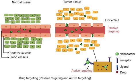 Molecules Free Full Text Smart Nanocarriers As An Emerging Platform