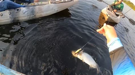 Pescando En El Puerto De San Jos Del Guaviare Y En Laguna Negra