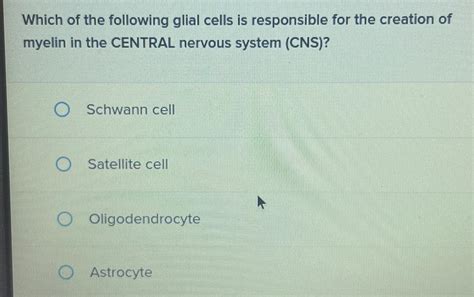 Solved Which of the following glial cells is responsible for | Chegg.com