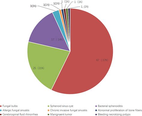 Pathological Composition Of Isolated Sphenoid Sinus Disease Download Scientific Diagram