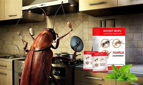 Купить Инсект Форс от тараканов и клопов.⭐⭐⭐⭐⭐Хит 2020 года!
