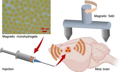 Nano Research X Mol