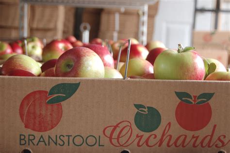 Apples — Branstool Orchards