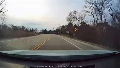 Shocking Dash Cam Footage Captures Moment Goose Electrocutes Itself On