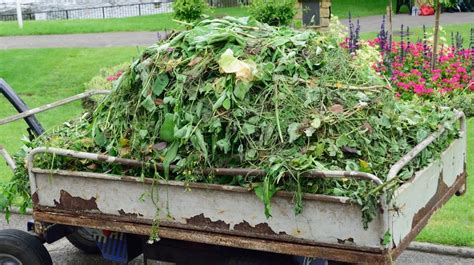 How To Dispose Green Waste