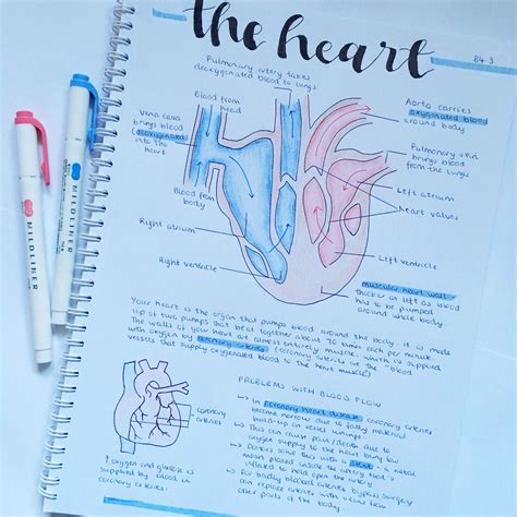 Biology B4 Aqa Gcse Combined Science Summary On The Heart And Its