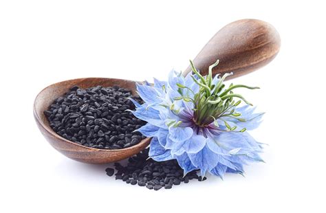 7 Surprising Benefits Of Black Cumin Seed Oil The Art Of Anti Aging