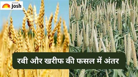 Rabi Kharif