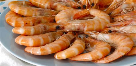 Cómo Cocer Gambas en su Punto Frescas y Congeladas Cocina a Buenas Horas