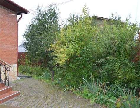 Ландшафтный дизайн загородного участка: год спустя: home_and_garden ...