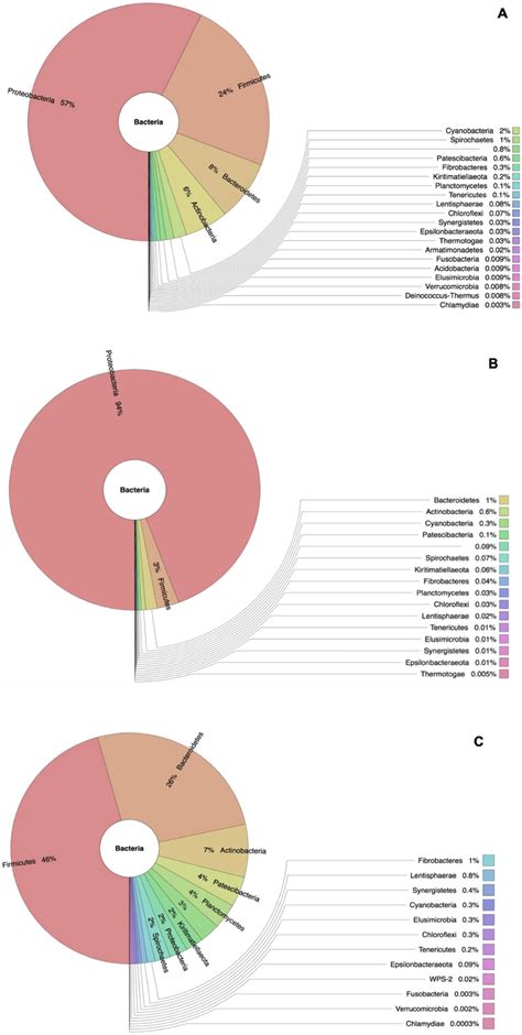 Krona Plot For Taxonomic Abundance Of The Adult Male A Female B H