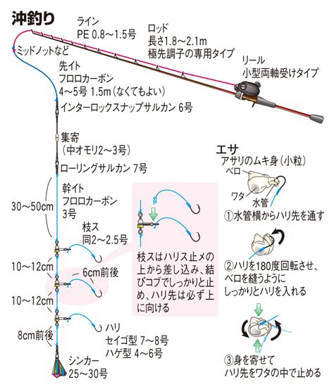 カワハギの仕掛け（チョイ投げ釣り／投げ釣り／沖釣り） 釣魚図鑑（特徴・仕掛け・さばき方） Honda釣り倶楽部 Honda公式サイト