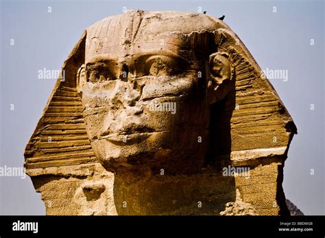 The Sphinx, Egypt Stock Photo - Alamy