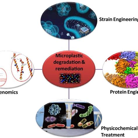 Classification Of Microplastics In Rivers And Coastline Download Scientific Diagram