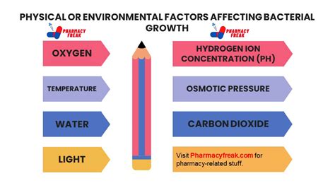 Factors Affecting Bacterial Growth - Pharmacy Freak