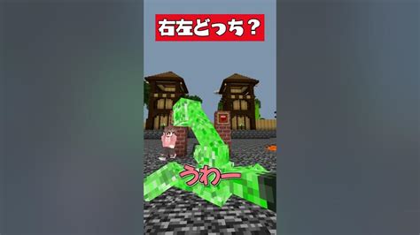 右左どっち？最強のクリーパー達を倒せ！！【マイクラ】shorts Youtube