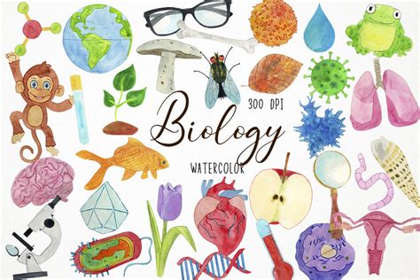 Watercolor Biology Clipart Biologist Graphic By Paulaparaula