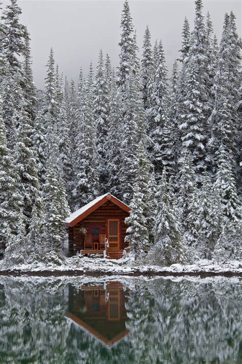 20 Beautifuly Remote Cabins Perfect For People Who Dont Like People