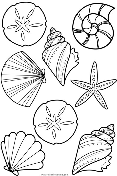 Minimalist Seashell Pattern Coloring Sheet Sustain Life Journal