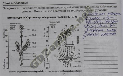 ГДЗ Робочий зошит з біології і екології 11 клас Мирна