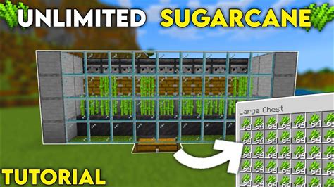 Automatic Sugarcane Farm Tutorial In Minecraft 120 Easy And Expandable