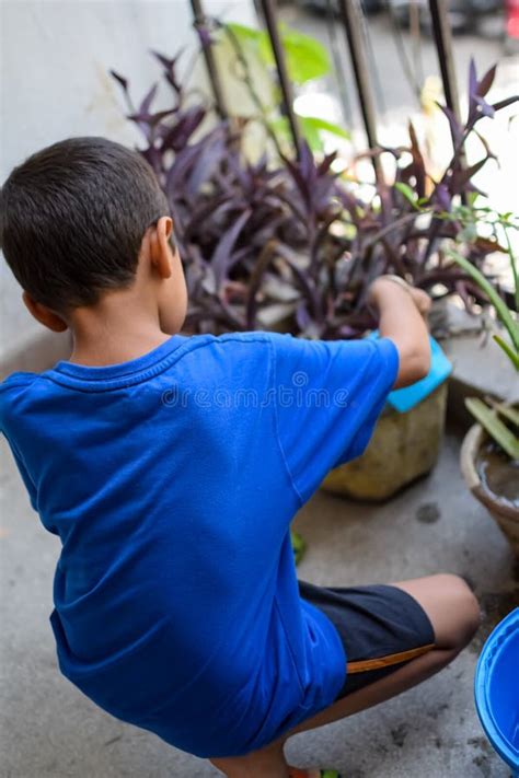 Lindo Niño Asiático De 5 Años Regando La Planta En Las Macetas Ubicadas