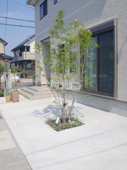 施工例「ポイント植栽のシンプル外構」兵庫県姫路市