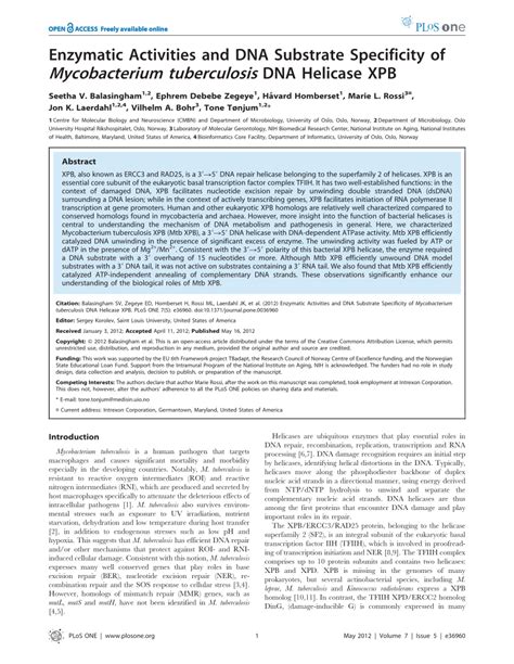 PDF Enzymatic Activities And DNA Substrate Specificity Of