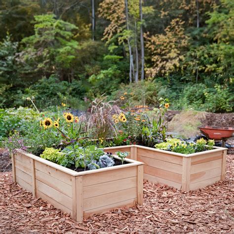 Deer Proof Cedar Complete Raised Garden Bed Kit 8 X 16 X 20